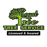 Loyaltreeservices